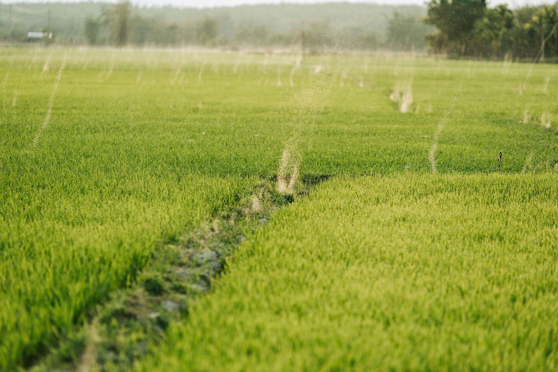 Serene rural landscape with vibrant green fields and irrigation sprinklers in action, showcasing sustainable farming.