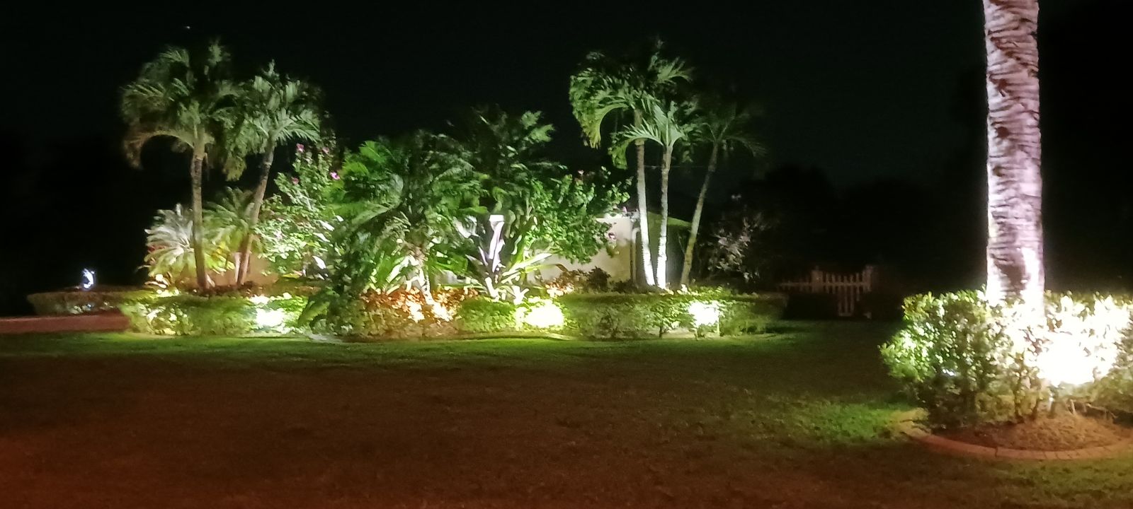 Landscape Lighting | Dan's Services